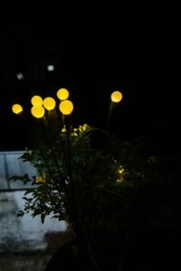 Solar Firefly Outdoor Garden 8 led waterproof light ( Pack of 2)